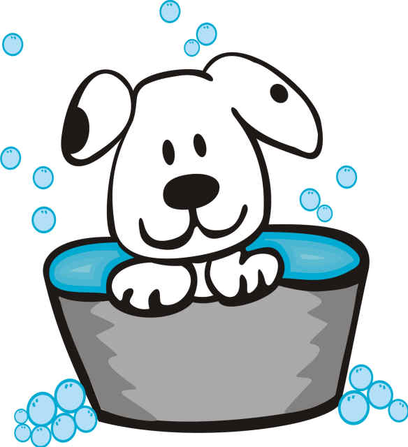Pet Grooming Pictures Cliparts co