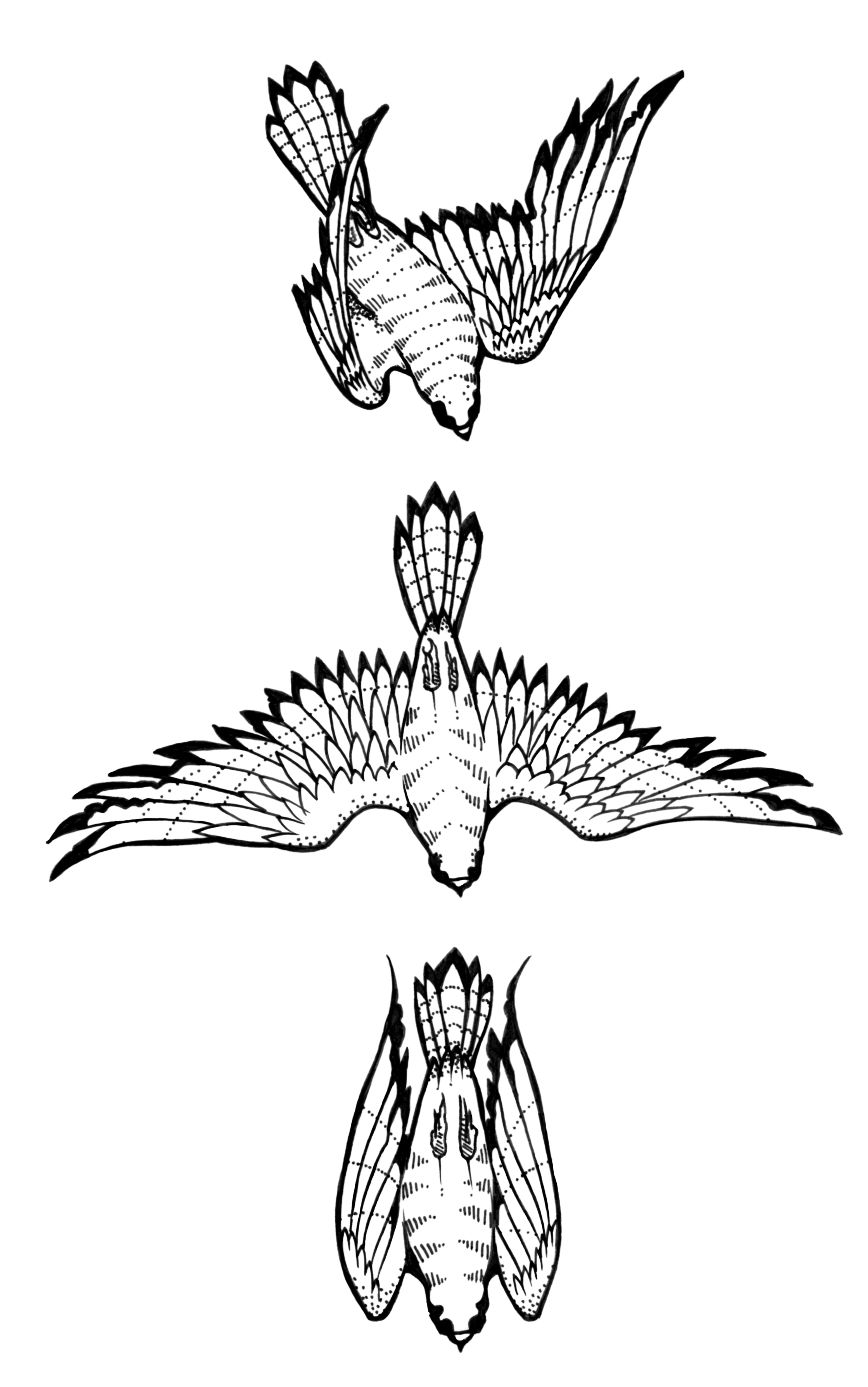 tribal hawk designs