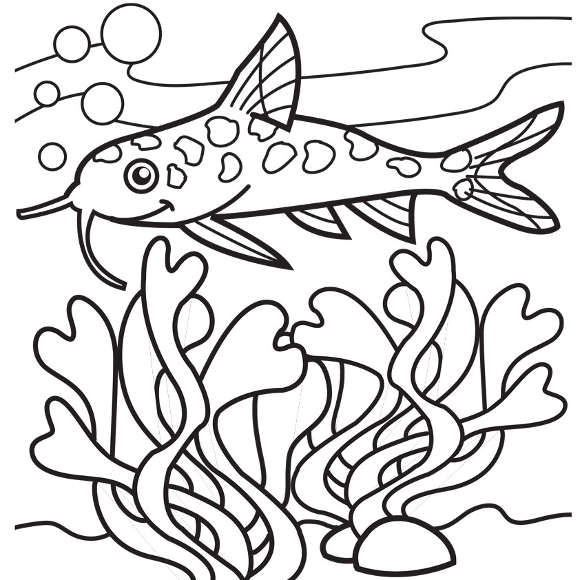 Seaweed Coloring Pages Clipartsco