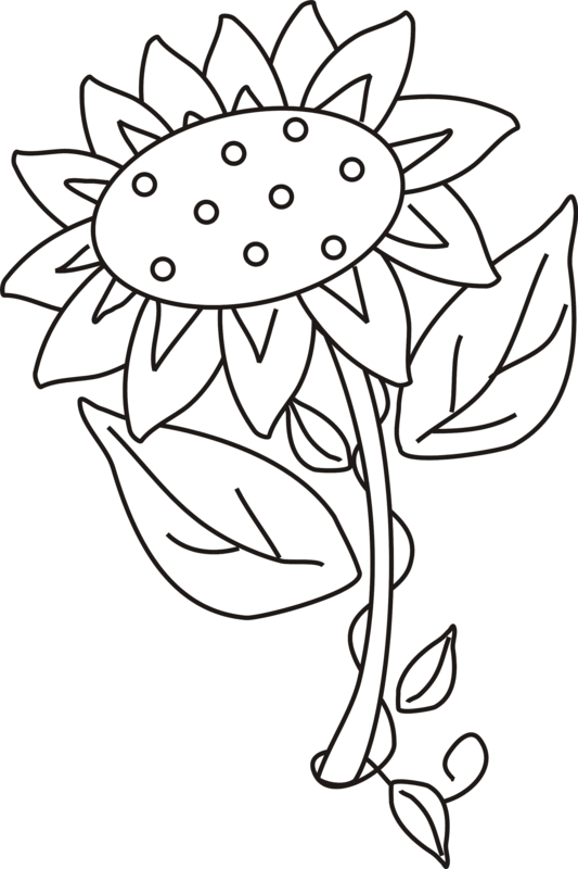 Free Printable Sunflower Coloring Page, Free Printable Sunflower ...