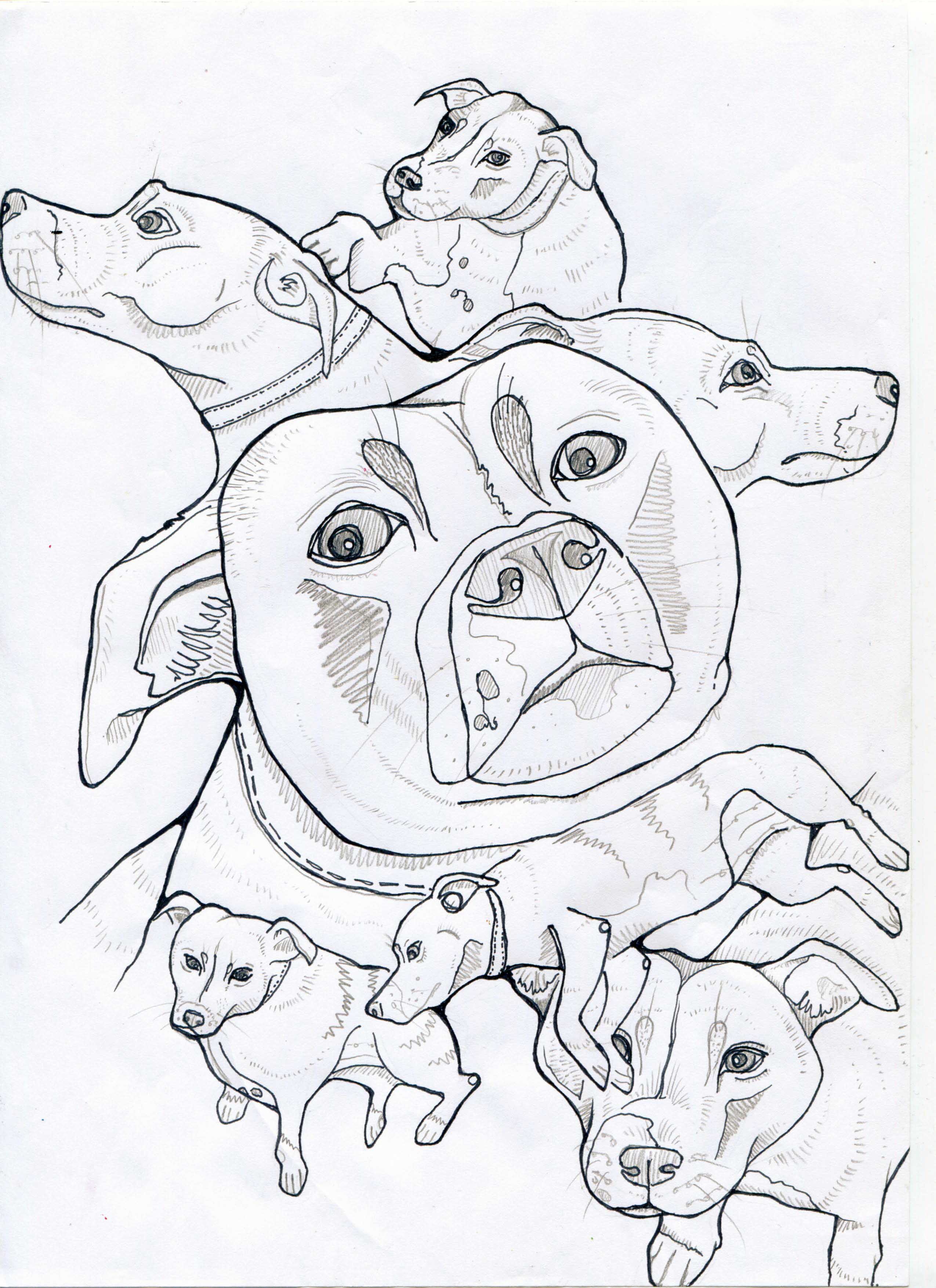 Dogs | Sarah Kirk Illustration
