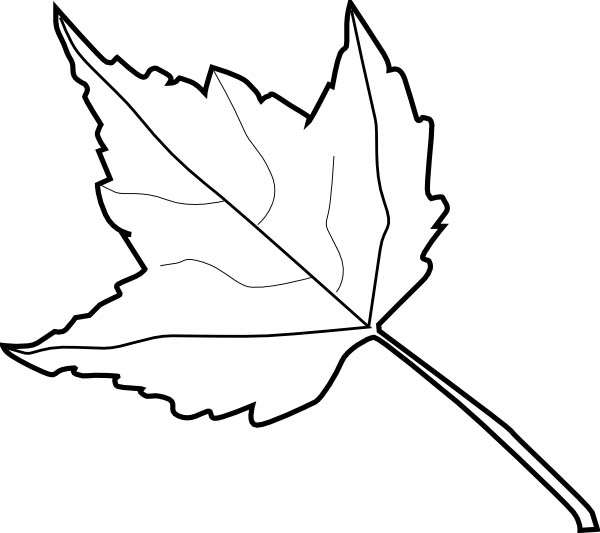Maple Leaf Outline Coloring Page | Kids Play Color