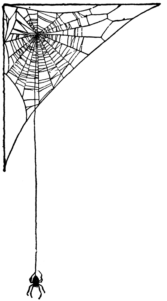 Spider Web Drawing - Gallery