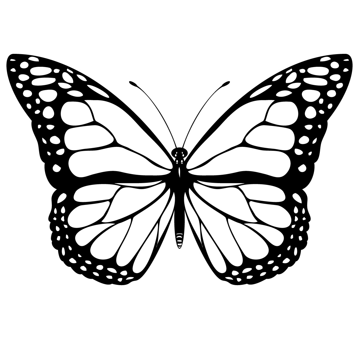 Butterfly Drawing With Details - ClipArt Best