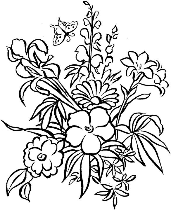 Flowers Drawing Pages  Cliparts.co