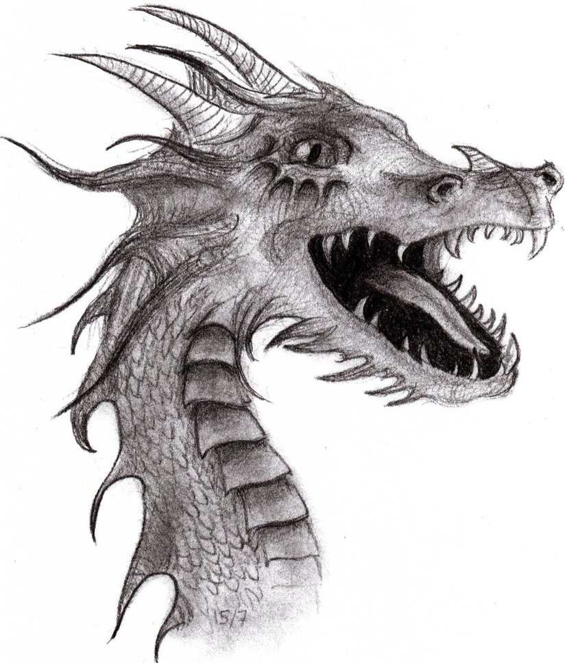 Dragon Drawings - Gallery