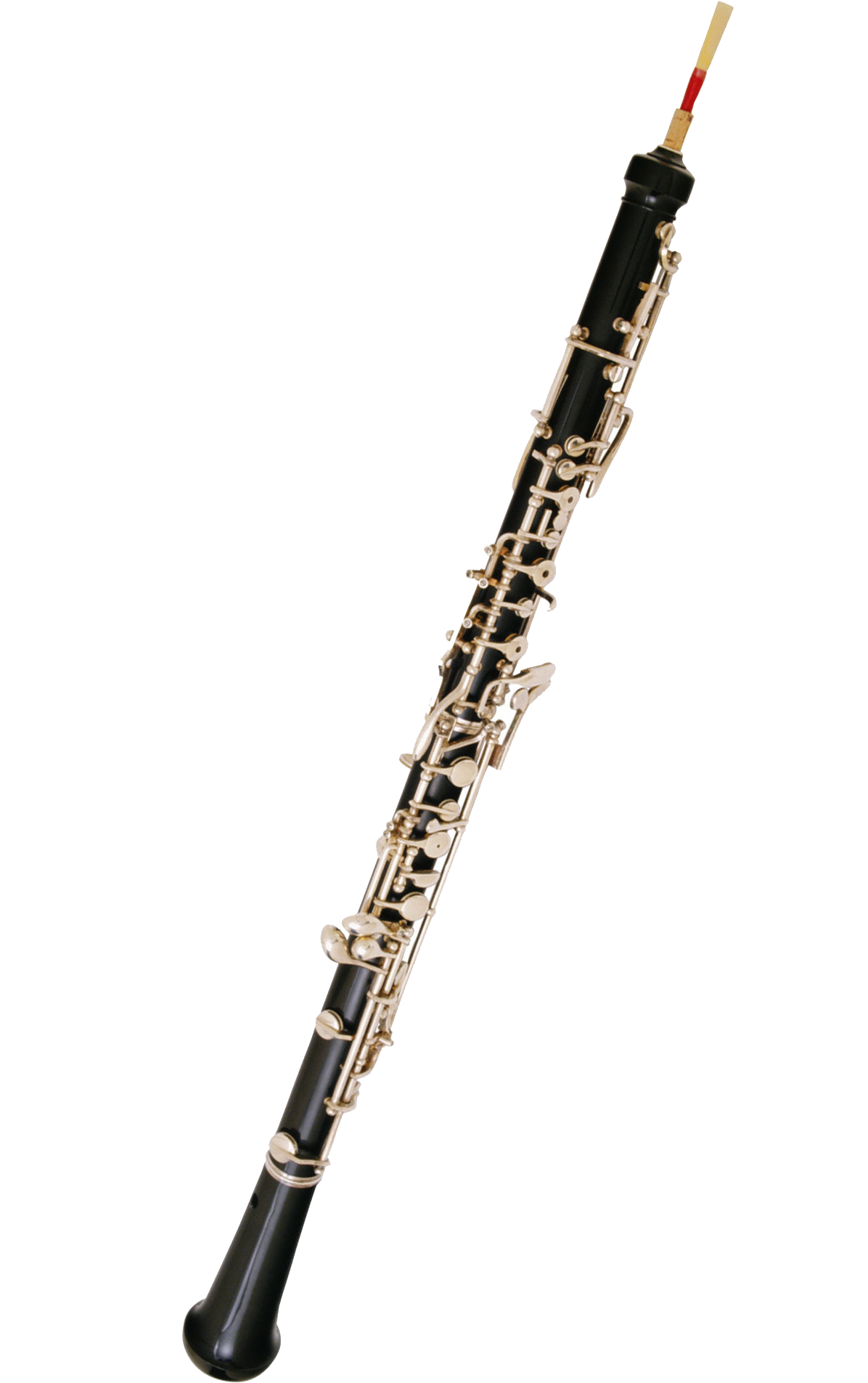 Bass Oboe Related Keywords & Suggestions Bass Oboe Long Tail