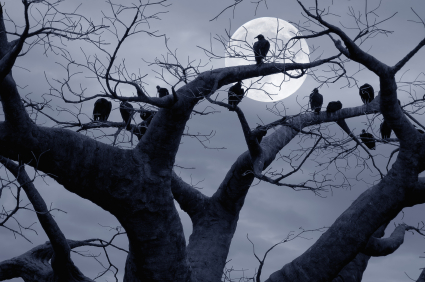 Scary Pictures - Vultures In Spooky Tree