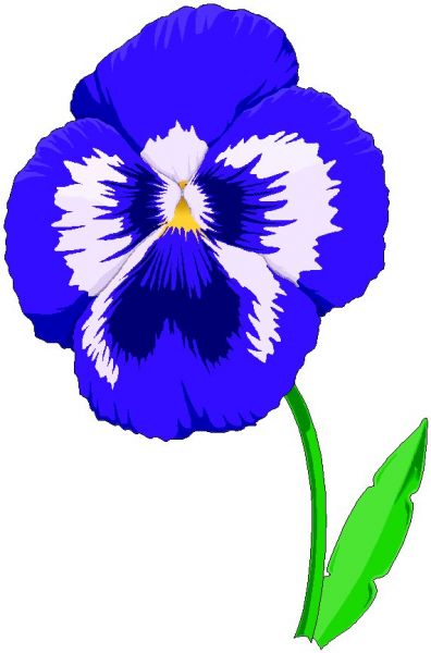 Various unsorted clipart > PANSY