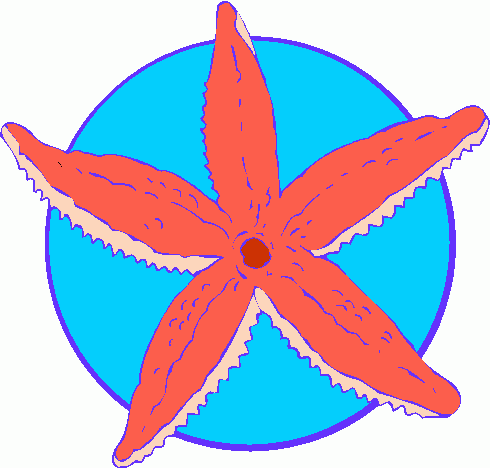 Starfish Clipart - ClipArt Best