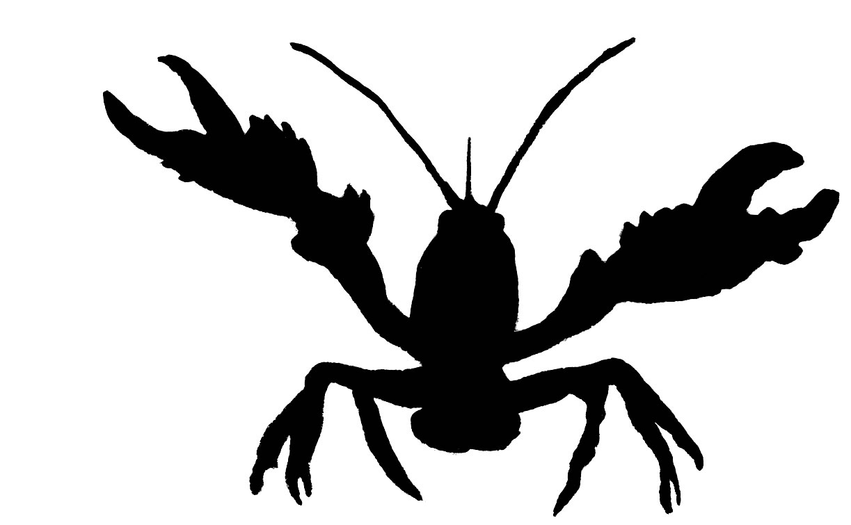 Pictures Of Crawfish - ClipArt Best