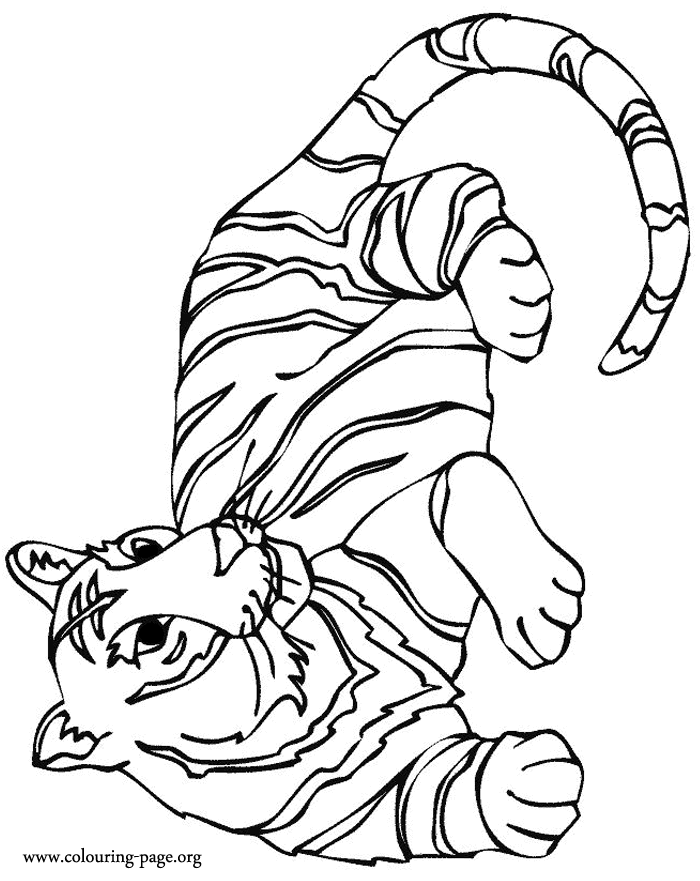 cub scout tiger cub Colouring Pages