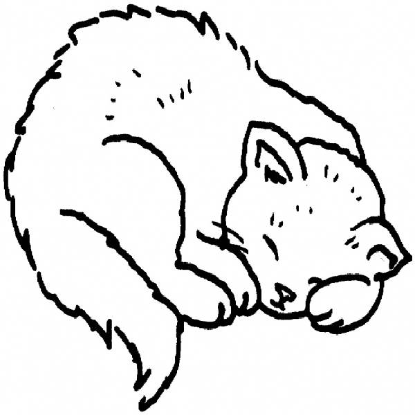 Cat Coloring Pages Free Printable | Coloring Pages Trend