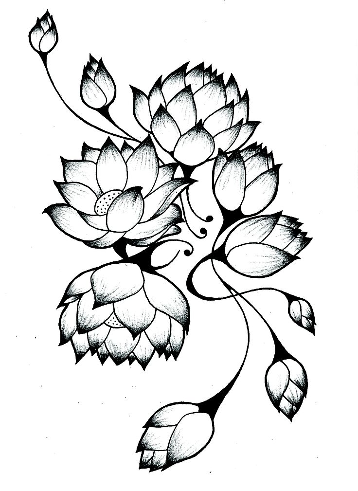 lotus tattoo - Google Search | tatoo ideas | Pinterest