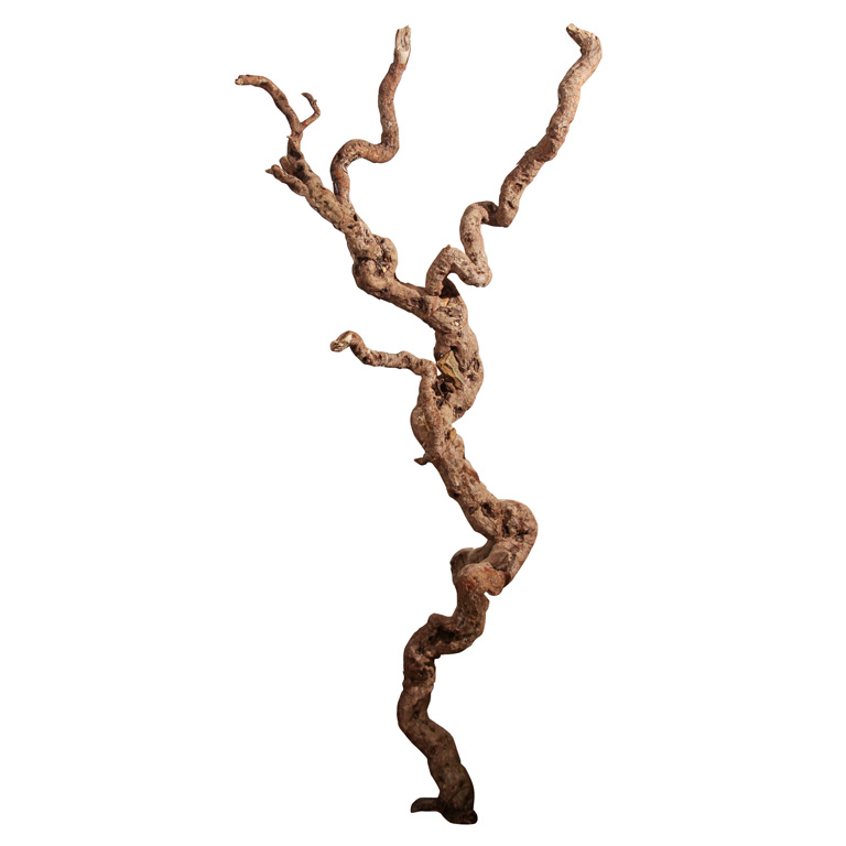 Tree Root Art