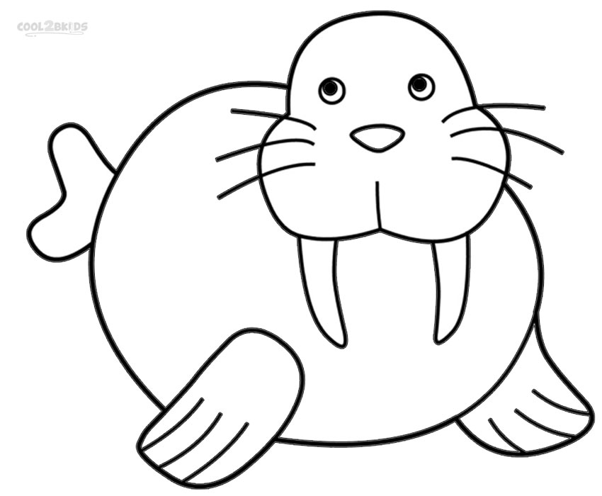 Printable Walrus Coloring Pages For Kids | Cool2bKids