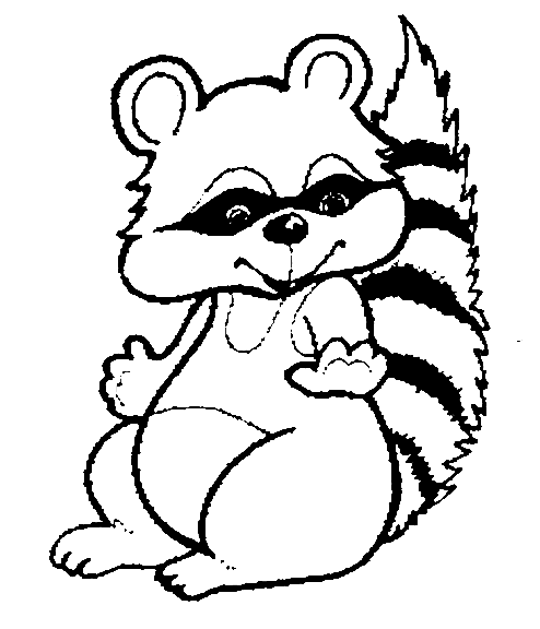 Raccoon coloring pages for kids | Coloring Pages