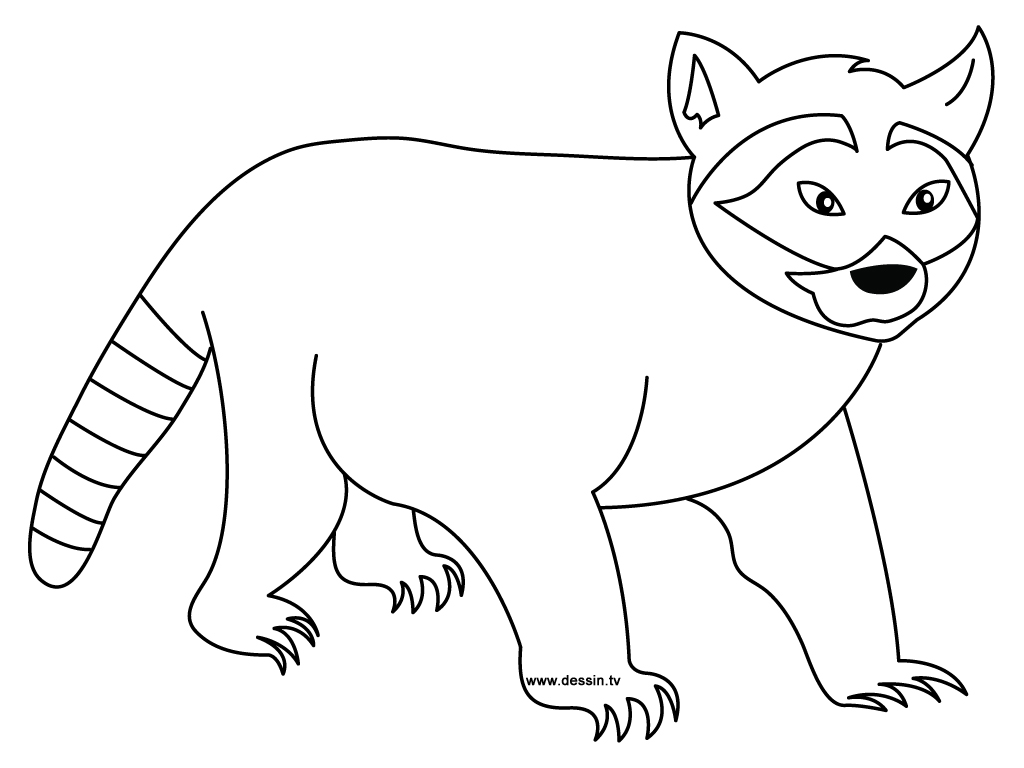 Raccoon Coloring Pages 3 For Kids Home Design Ideas hqcolor.