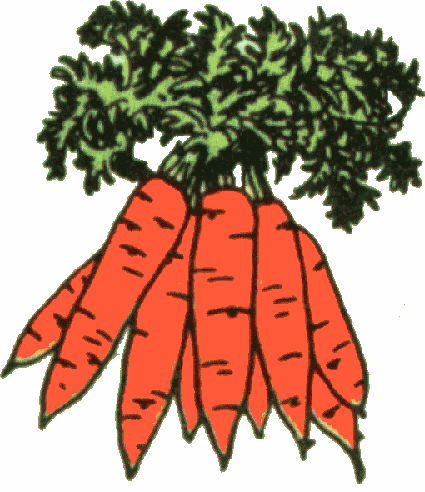 carrots-clipart.gif