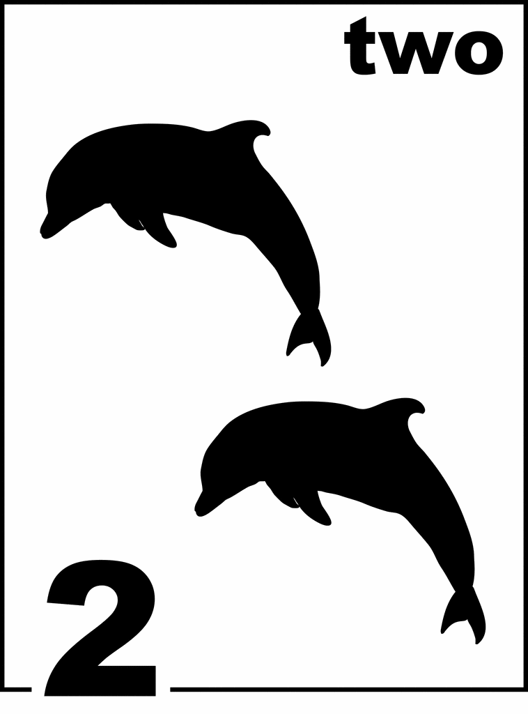 English Dolphin Counting Card 2 | ClipArt ETC