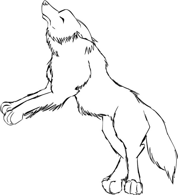 Wolf Outline Picture Images & Pictures - Becuo