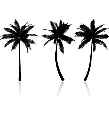 palm tree graphic image search results - ClipArt Best - ClipArt Best