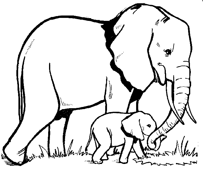 Outline Of An Elephant - Cliparts.co