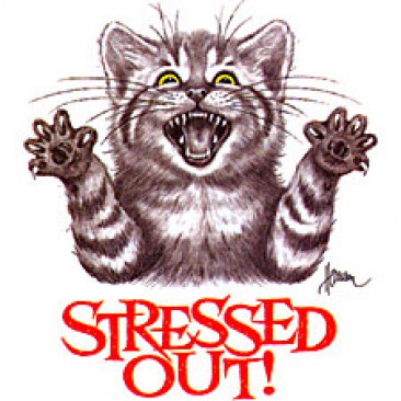 Stressed Out Cat - ChoiceShirts