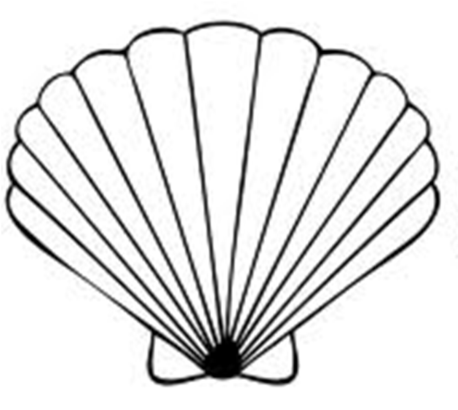 sea-shell-clipart-cliparts-co