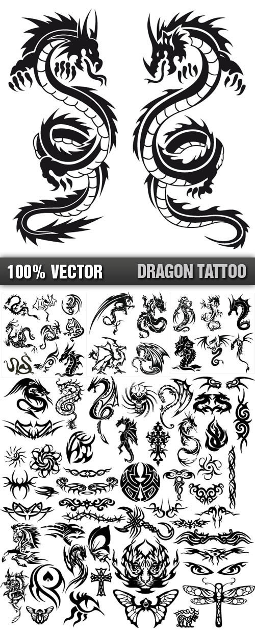 Tattoo Dragon Vector – Tatuajes de dragones | Tutoriales en la Web