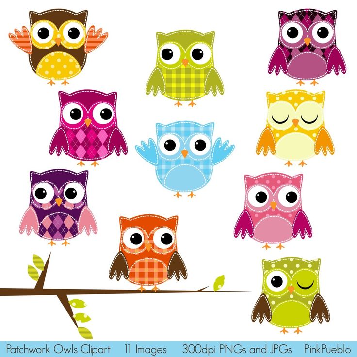 Pix For > Owls Clipart