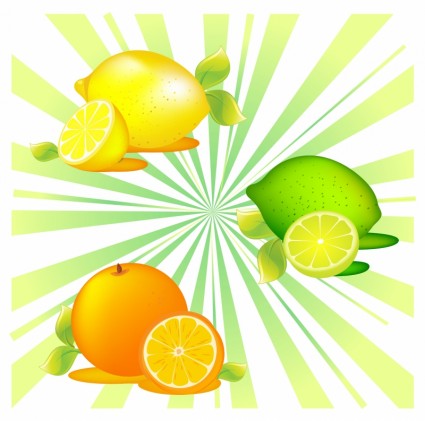Citrus fruit Vector trust to nature - Free vector for free download