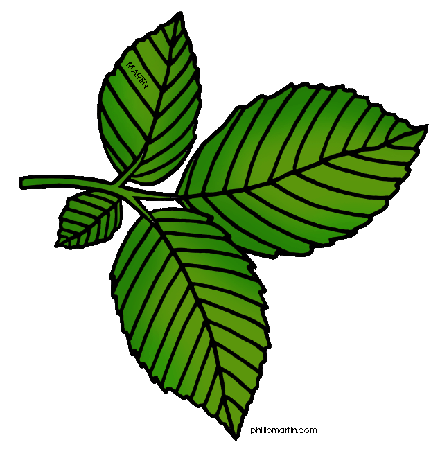 clipart of a tree with leaves - photo #4