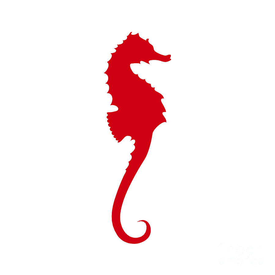 Seahorse In Red by Jackie Farnsworth - Seahorse In Red Digital Art ...
