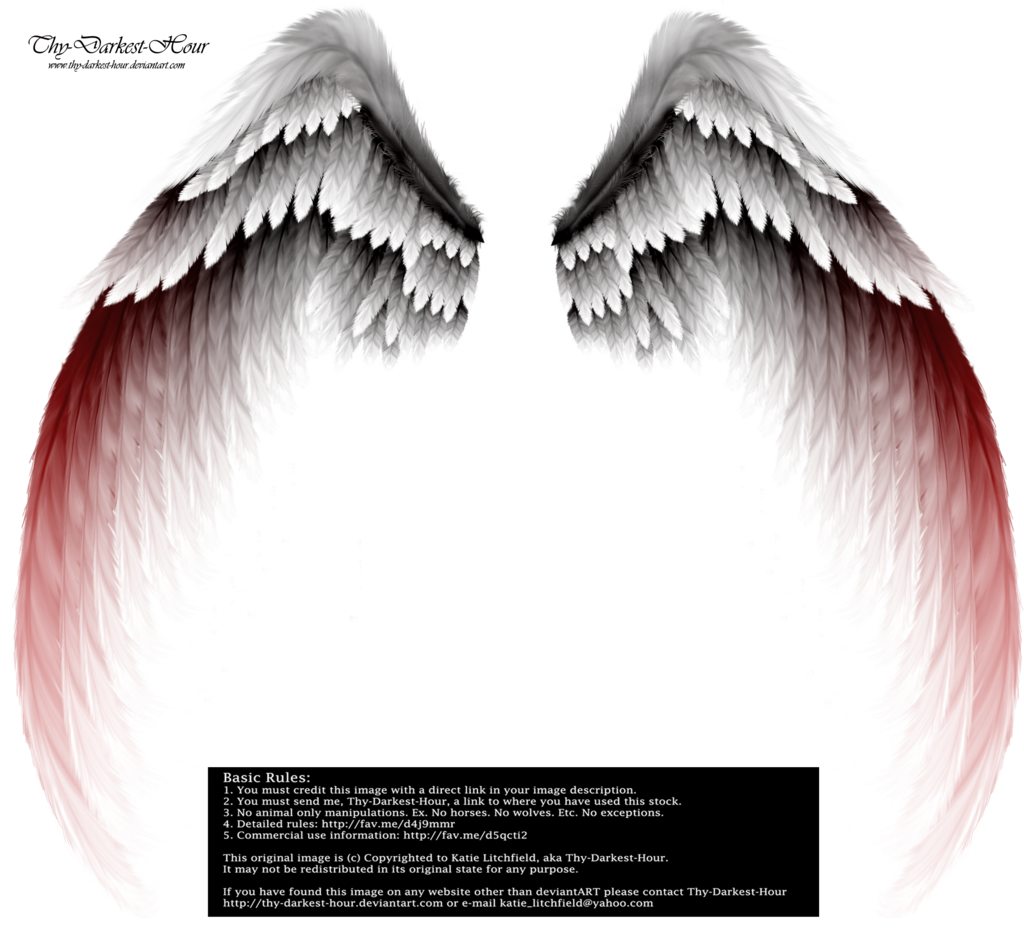 Wings PNGs by Thy-Darkest-Hour on DeviantArt