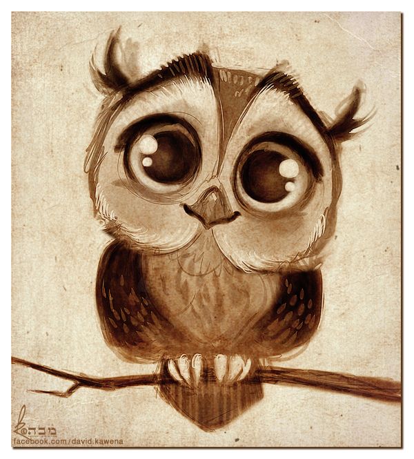 Doodles cute owl drawned iphone wallpaper http://htctokok-infinity ...