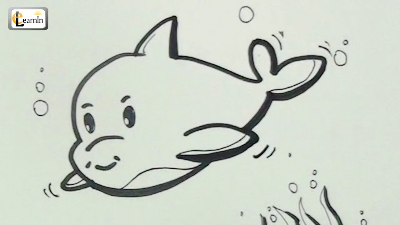 How to draw a dolphin - cartoon | Drawing for children | Easy Step ...