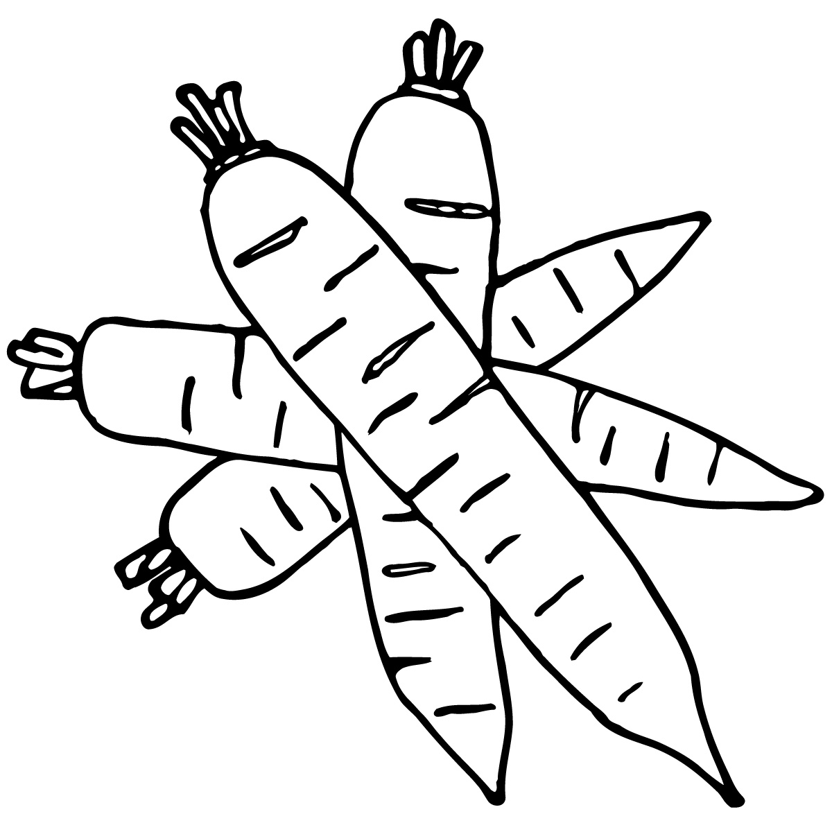 Images For > Carrot Colouring Pages