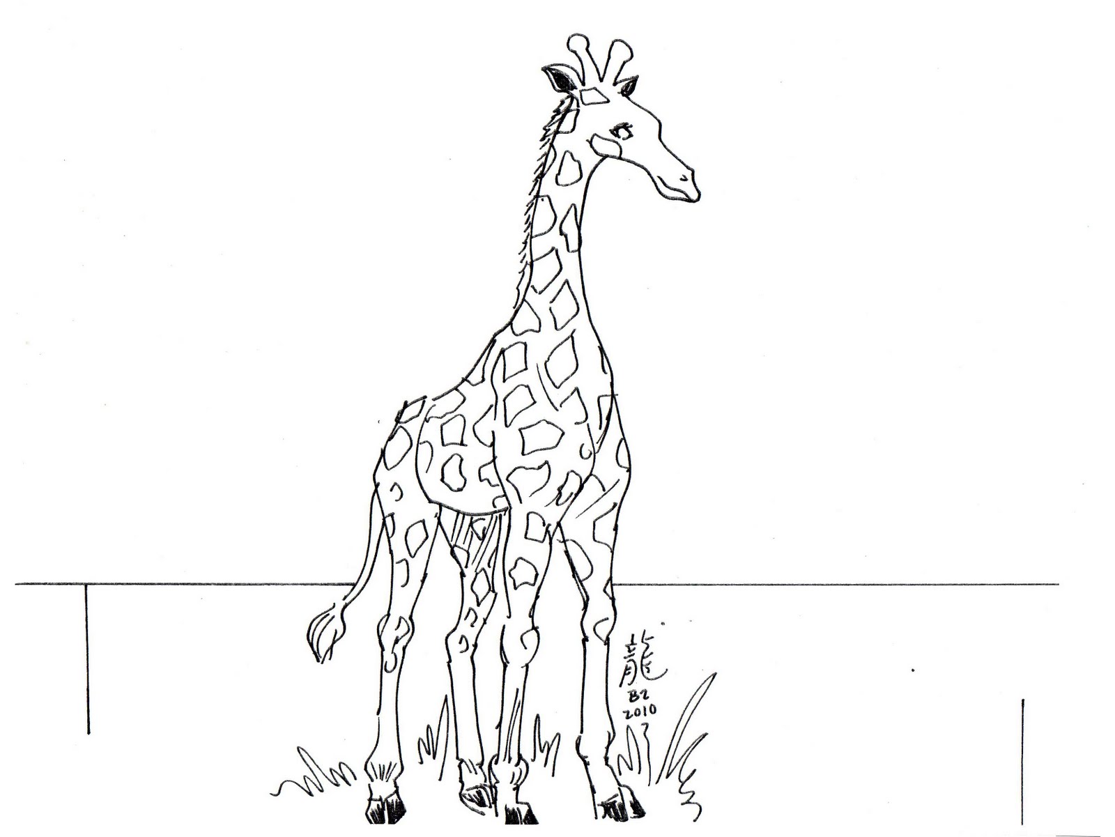 Giraffe Drawing Outline Images & Pictures - Becuo