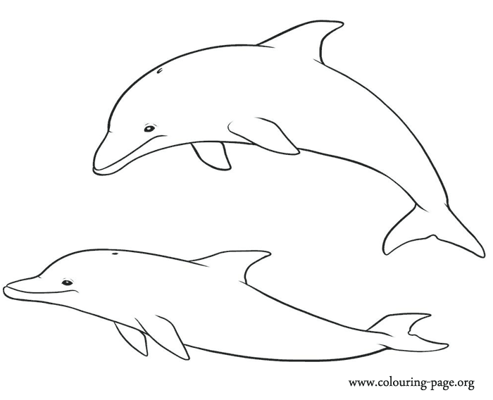 dolphin printables | Dolphin Coloring Pages Printable | print outs ...
