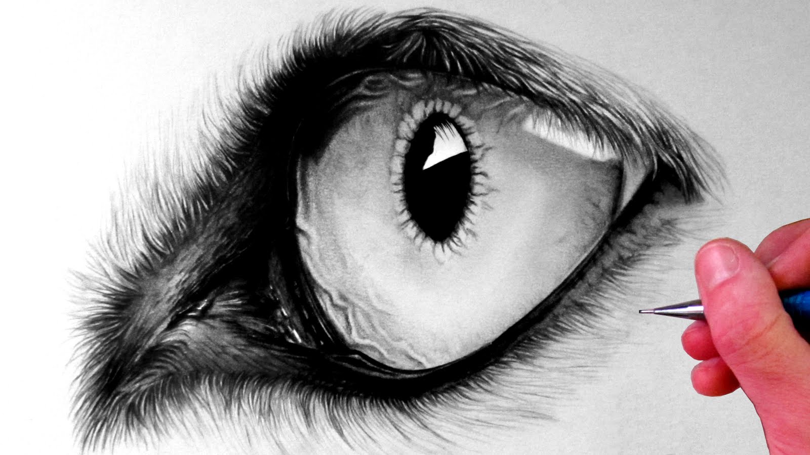 How to Draw a Wolf Eye - YouTube