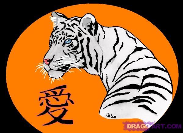 Draw a White Tiger, Step by Step, safari animals, Animals, FREE ...