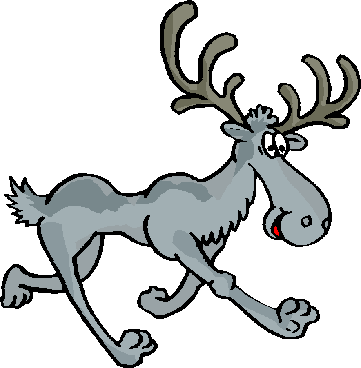 Cartoon Moose Pictures