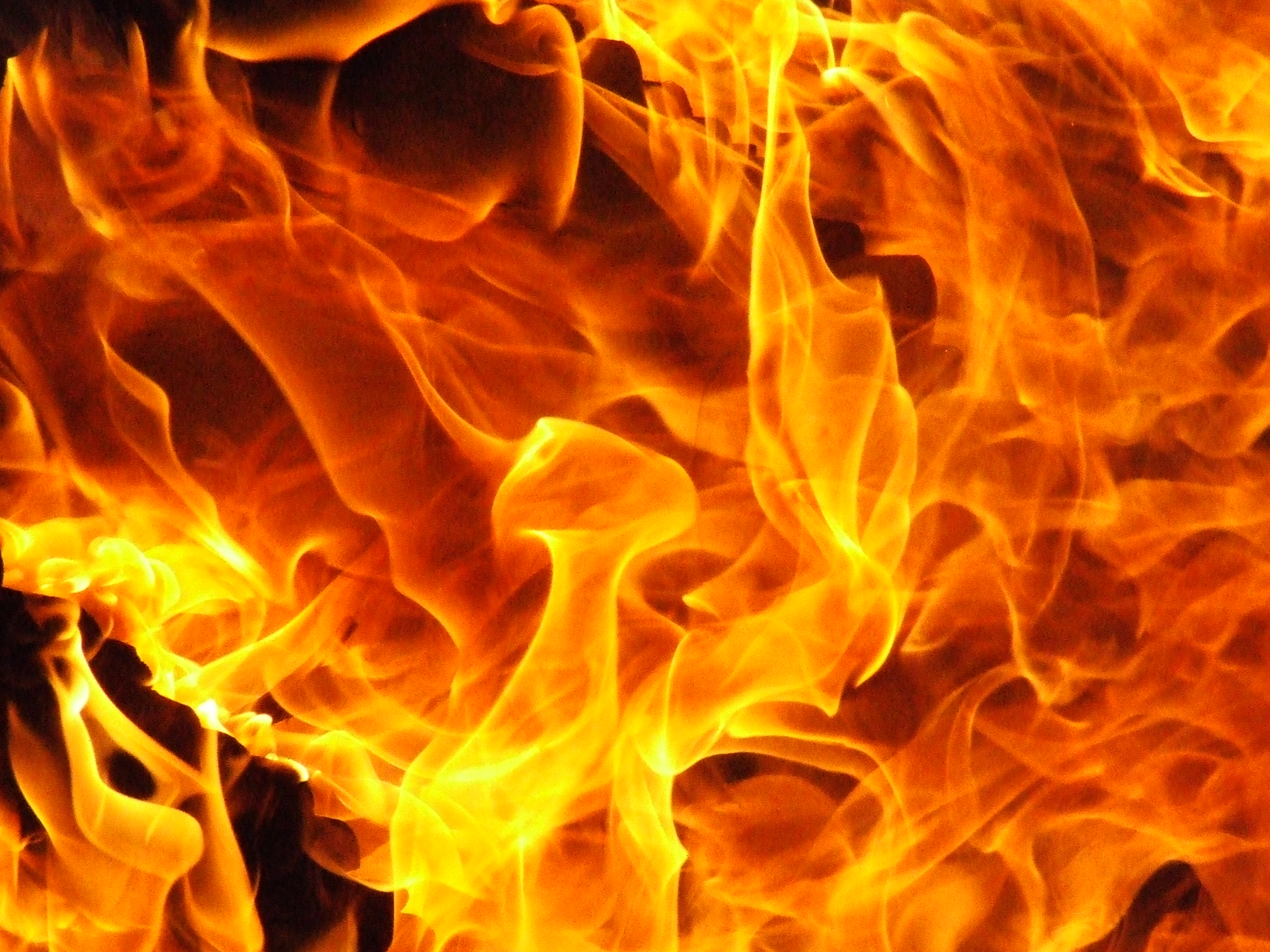 TURKEY VULTURE RECORDS » fire-flames-14.jpg