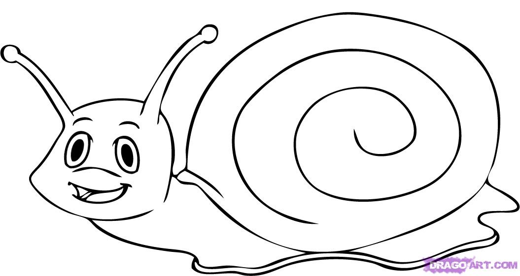 Sea Snail Drawing - Gallery