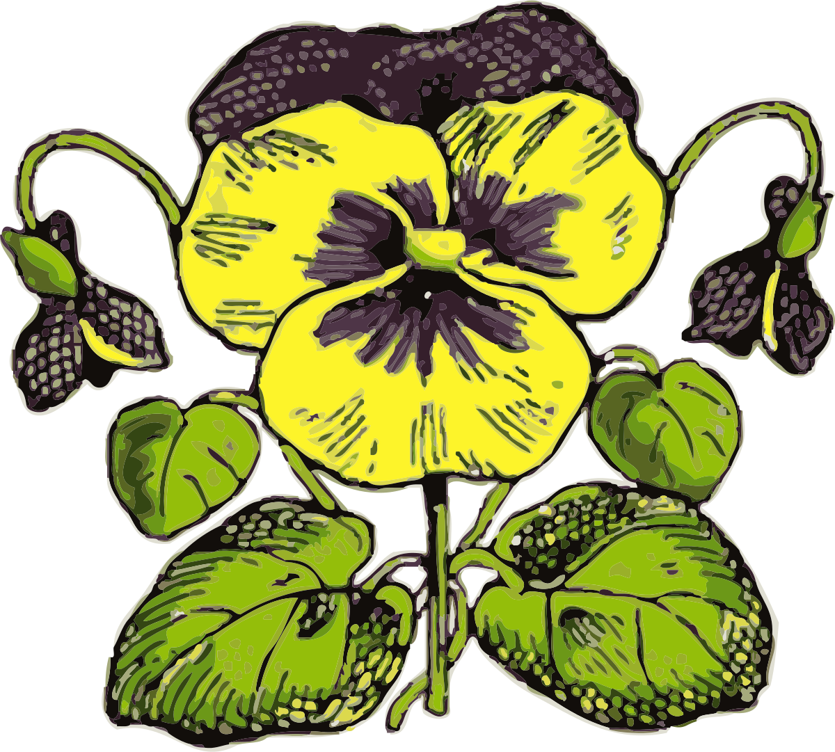 Pansy Clipart by johnny_automatic : Flower Cliparts #9051- ClipartSE