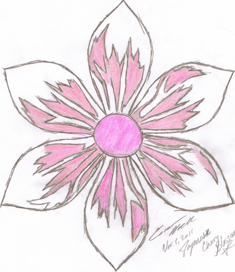 DRAWINGS OF JAPANESE FLOWERS | Drawing Tips
