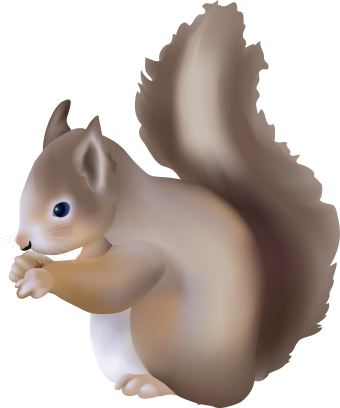 squirrel clipart | Clipart Panda - Free Clipart Images