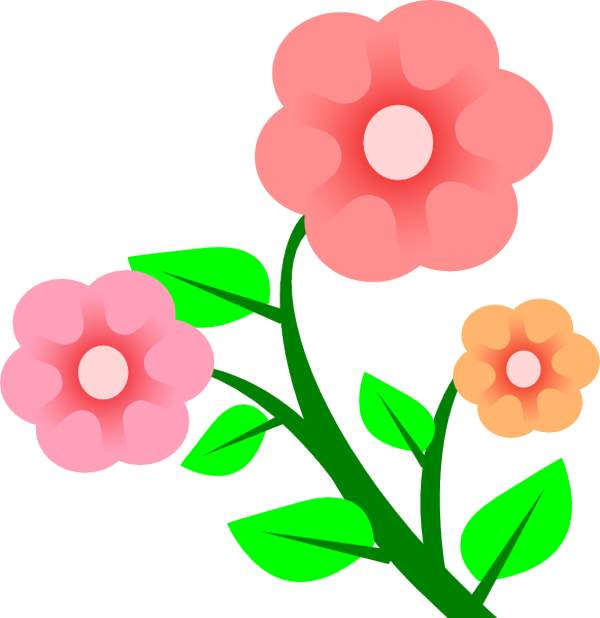 Flower clip art pictures | Free Reference Images