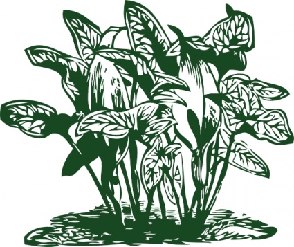 Tropical Plants clip art - Download free Other vectors